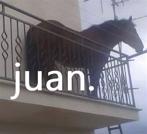 meme caballo juan